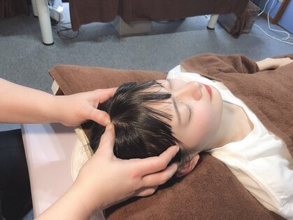 セラピアの写真
