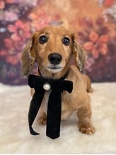 オージュ(auge)&nbsp;リー 