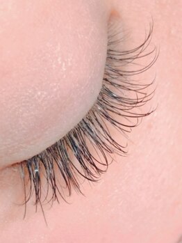 ピュア アンド めくりぱちくり(Pュア&めくりぱちくり)/