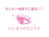【モニター募集価格】　LEDまつ毛エクステ60本