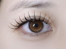 ミイプ(MEPP)/たにわき担当・フラットラッシュ