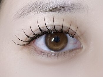 ミイプ(MEPP)/たにわき担当・フラットラッシュ