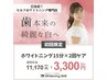 11月限定【人気No.1】先着4名様 / ホワイトニング2回ケア ¥11,170→¥3,300