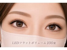 チック(chick)/LED100束で上品ボリューム