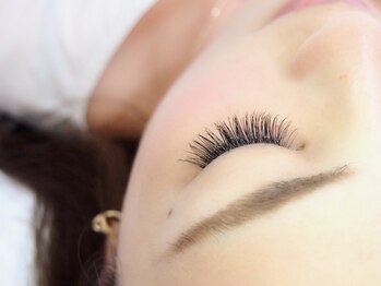 デイリー ラッシュ(DAILY LASH)/プレミアムセーブル120本5980円