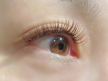 リブレ(LIBLE)/フラットブラウン付け放題