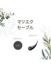 【セーブル】140本　