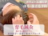 育毛促進鍼【5名様限定】残 2名 毛が細くなり、ボリューム感が減った方