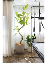 モモ 麻布十番 白金高輪(MOMO)/スタジオ内装-その1-