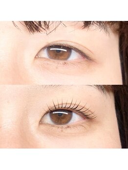 ラテ(latte)/【MIMI】ラッシュリフト