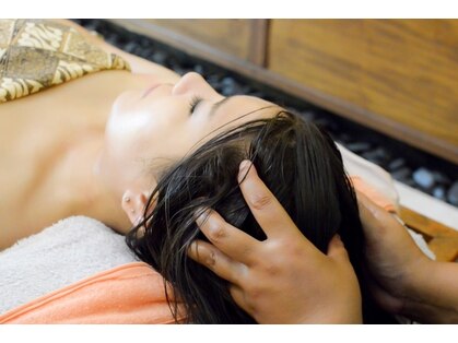 マートルの写真