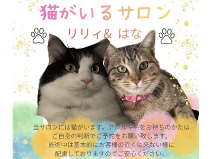 プアリリア(pua lilia)の写真
