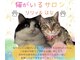 プアリリア(pua lilia)の写真