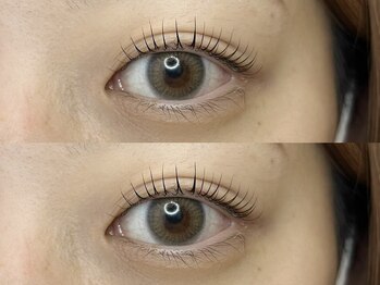 ラズリー MEGAドン・キホーテ成増店(lazley)/ まつげパーマ