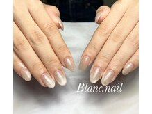 ブランネイル(BLANC.nail)/マグネットジェル