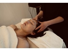 フォルディオ(FORDIO)/ドライヘッド付き