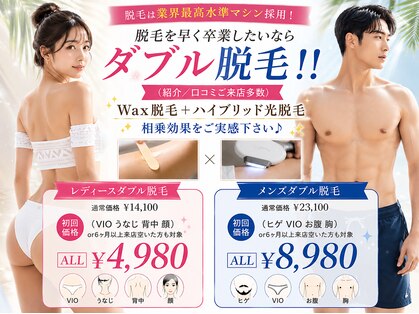 リリィの写真