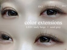 トータルビューティー ララ(Total Beauty RARA)/LEDフラットラッシュ140本7150円