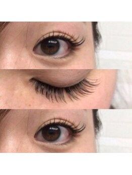 ブロッサ(Blossa)/フラットラッシュ140本