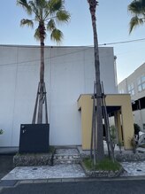 アンダンテ(Andante)/外観