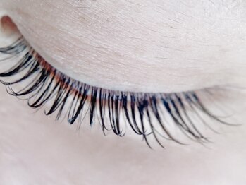 ヴィヴィアンナ(ViVianna)/マツエクコレクション♪