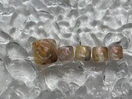 《foot》定額デザイン