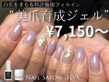 ネイルサロン ディーバ ギンザ(Nail salon Diva GINZA)