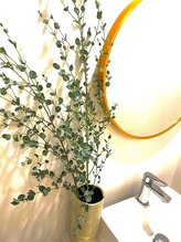 リベル 名古屋(Lebelle:)/ハーブピーリング　名古屋