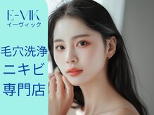イーヴィック シジョウホリカワ(E-Vik Shijo Horikawa)