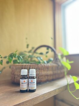 サロン ドゥ レキューム(Salon de L’ecume)/木と緑が多い空間