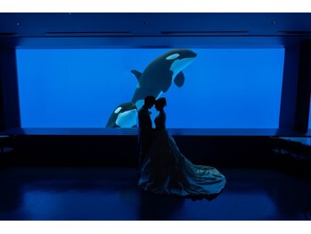 ボディキュア ブライダル美容整体 大阪梅田/大好きなシャチと/大阪/中之島