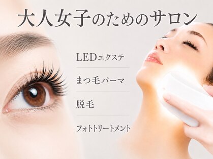 シュシュ(Chouchou)の写真
