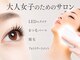 シュシュ(Chouchou)の写真