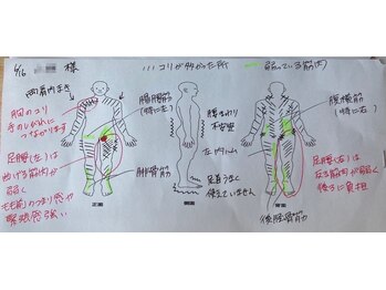 ツリーオブボディケア(TREE OF BODY CARE)/ご自身の筋バランスがわかる！！