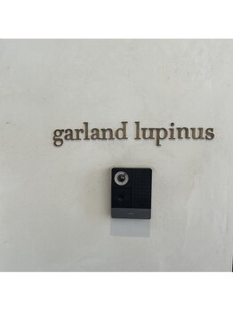 ガーランド ルピナス(garland lupinus)/サロン入り口