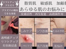 シエスタ(siesta)/プラズマの幅広い可能性