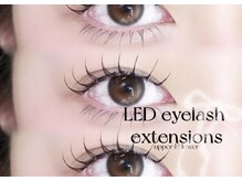 デイジー バイ アルテフィーチェ 梅田(daisy by artefice)/マツエク上下♪♪