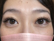 モルレーヴ(MOLREVE)/メガフラット