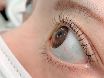 レディ アイラッシュ(Ledy eyelash)/ラッシュカール