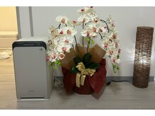 ゴールドハンド 溝の口店(Gold Hand)/GoldHandプレミアムエステサロン