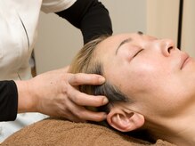 369/ドライヘッドスパとは？