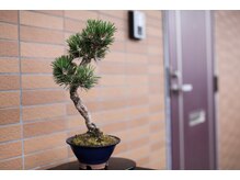 看板はございません。玄関前の盆栽を目印としてください。