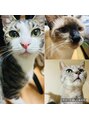 フランジスパ(FRANGI SPA)&nbsp;愛猫ちゃんたち☆猫大好きです
