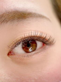 ムニ(muni)/ボリュームラッシュ120束