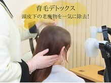 サロン ド エステティック ルチア 東京店/育毛促進デトックス
