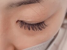 キャメル(camel)/【フラットラッシュ】160本