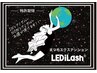LEDマツエク☆LEDグルー変更¥1650【LEDiLash】※本数メニュー選択必須