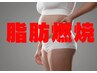 【30分だけ！】疲れてる人ほど燃える脂肪燃焼トレ！！EMSトレーニング！