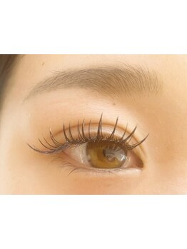 初めての方にオススメ