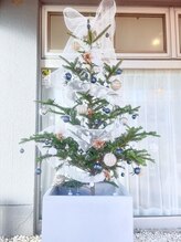 サロンドルポ(Salon de Repos)/クリスマスツリー